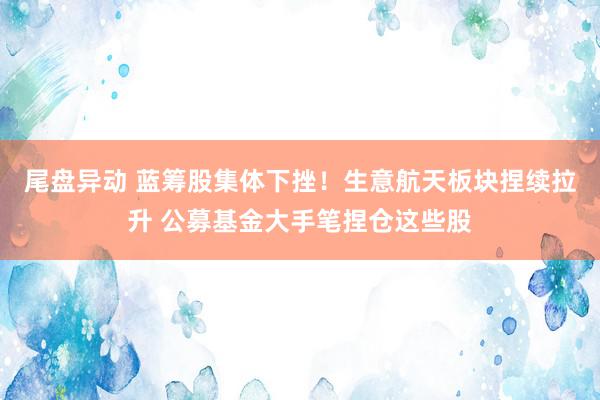 尾盘异动 蓝筹股集体下挫！生意航天板块捏续拉升 公募基金大手笔捏仓这些股