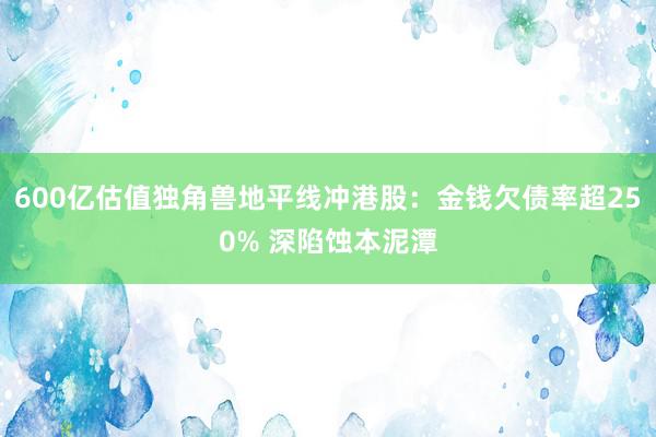 600亿估值独角兽地平线冲港股：金钱欠债率超250% 深陷蚀本泥潭