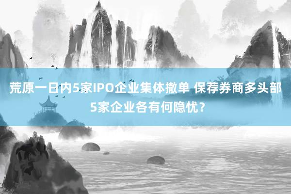 荒原一日内5家IPO企业集体撤单 保荐券商多头部 5家企业各有何隐忧？