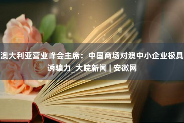 澳大利亚营业峰会主席：中国商场对澳中小企业极具诱骗力_大皖新闻 | 安徽网