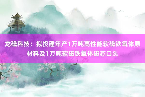 龙磁科技：拟投建年产1万吨高性能软磁铁氧体原材料及1万吨软磁铁氧体磁芯口头