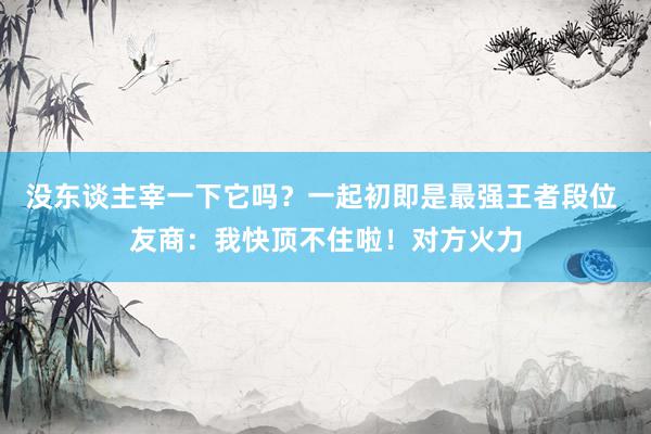 没东谈主宰一下它吗？一起初即是最强王者段位 友商：我快顶不住啦！对方火力