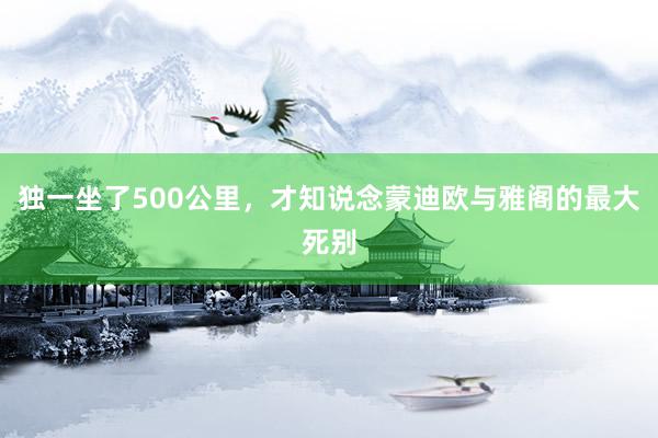 独一坐了500公里，才知说念蒙迪欧与雅阁的最大死别