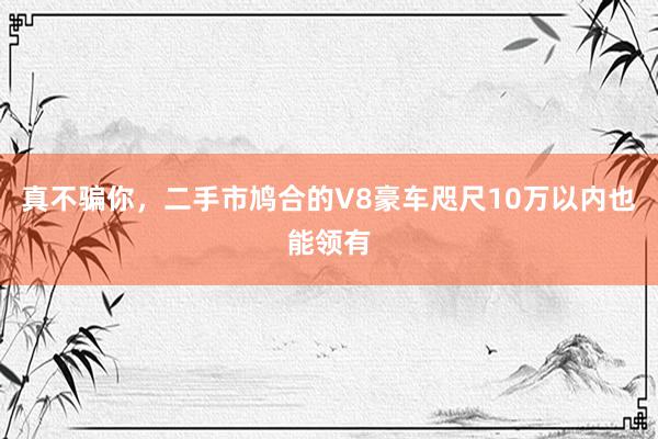 真不骗你，二手市鸠合的V8豪车咫尺10万以内也能领有