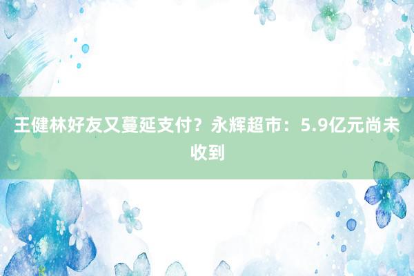 王健林好友又蔓延支付？永辉超市：5.9亿元尚未收到