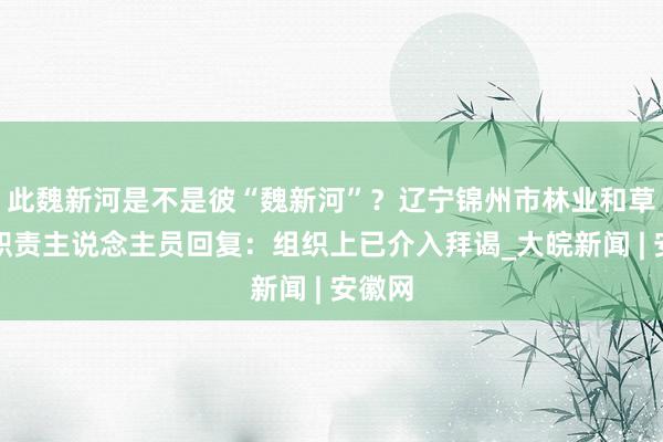 此魏新河是不是彼“魏新河”？辽宁锦州市林业和草原局职责主说念主员回复：组织上已介入拜谒_大皖新闻 | 安徽网