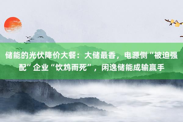 储能的光伏降价大餐：大储最香，电源侧“被迫强配”企业“饮鸩而死”，闲逸储能成输赢手