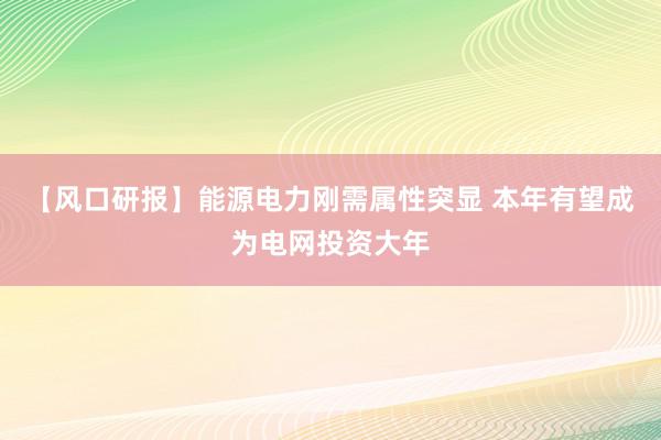 【风口研报】能源电力刚需属性突显 本年有望成为电网投资大年