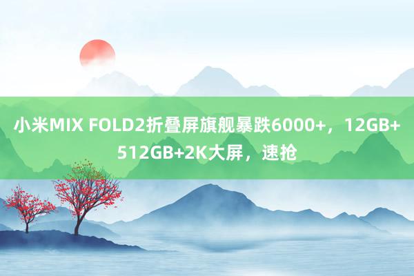 小米MIX FOLD2折叠屏旗舰暴跌6000+，12GB+512GB+2K大屏，速抢