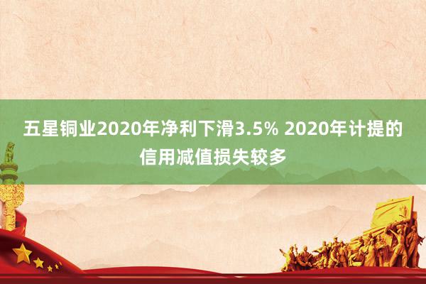 五星铜业2020年净利下滑3.5% 2020年计提的信用减值损失较多