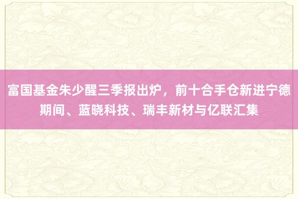 富国基金朱少醒三季报出炉，前十合手仓新进宁德期间、蓝晓科技、瑞丰新材与亿联汇集