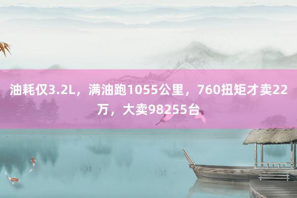 油耗仅3.2L，满油跑1055公里，760扭矩才卖22万，大卖98255台